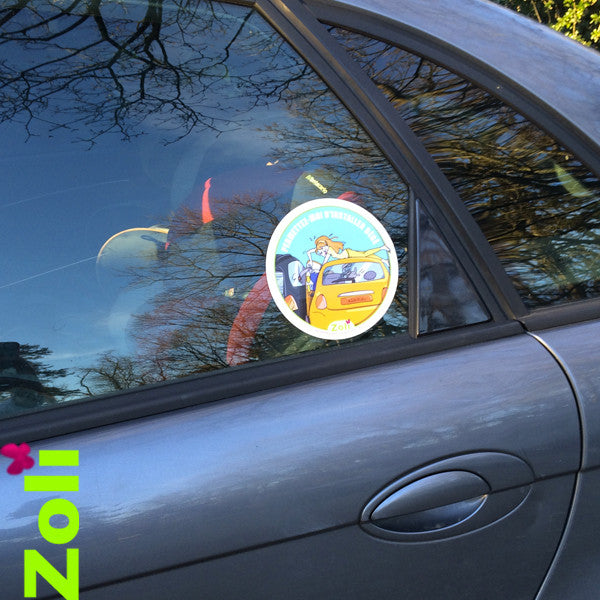Pack 2 autocollants (femme enceinte et siège auto)